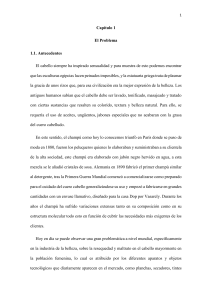 Champú de Cacao: Investigación para Cabello Seco