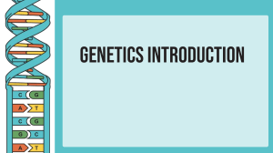 Genetics Introduction: Heredity, Traits, and Alleles