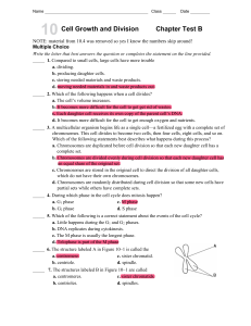 Cell Growth & Division Test