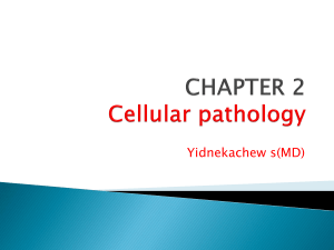 Cellular Pathology: Adaptation, Injury, and Death