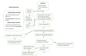 Disease Pathophysiology Flowchart