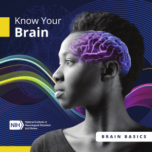 Know Your Brain: Basics of Neuroscience