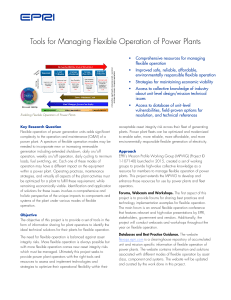 Flexible Power Plant Operation Tools & Strategies