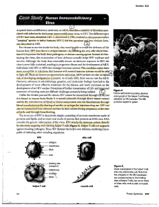 HIV: Structure, Attack, and Transmission