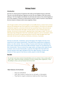 Biology Project: Animalia Kingdom Overview