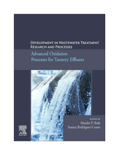 Advanced Oxidation Processes for Tannery Effluent