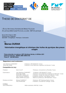 Thèse: Valorisation huiles pyrolyse pneus