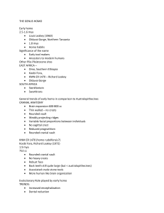Genus Homo: Early Human Evolution