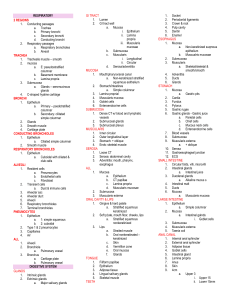 Respiratory, Digestive, Urinary Systems Study Guide