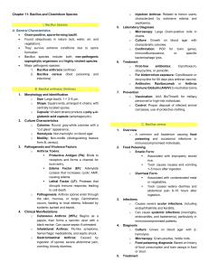 Bacillus & Clostridium Species: Textbook Chapter