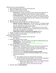 Neuroscience Lecture Notes: Brain Imaging & Microscopy