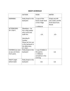 Max's Daily Schedule: Dog Care Routine