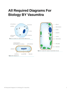 Biology Cell Diagrams: Animal, Plant, Bacterial