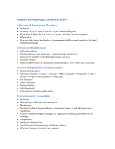 Anatomy & Physiology Study Guide Outline