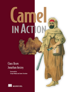 Camel in Action: Apache Integration Framework Guide