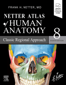 Netter Atlas of Human Anatomy Textbook