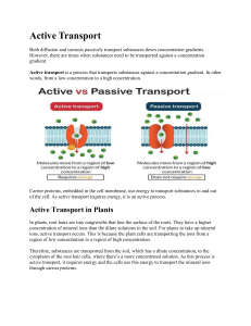 Active Transport: Biology Explained