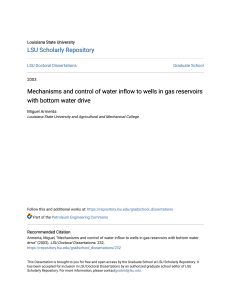 Water Inflow Control in Gas Reservoirs Dissertation