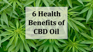 6 Health Benefits of CBD Oil