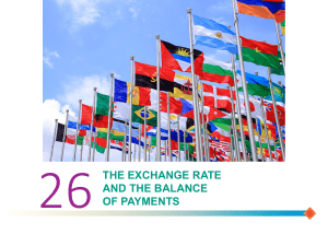 Exchange Rate & Balance of Payments Presentation