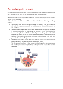 Gas Exchange in Humans: Alveoli, Breathing, Exercise