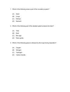 Science Test: Biology, Weather, Matter, Machines