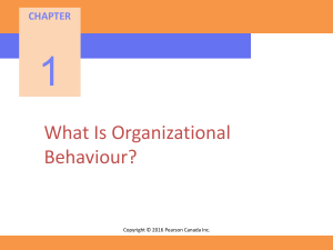 Organizational Behavior: An Introduction