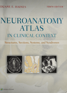 Neuroanatomy Atlas in Clinical Context Textbook