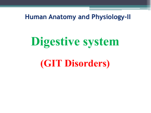 Digestive System Disorders: GERD, Ulcers, IBS & More