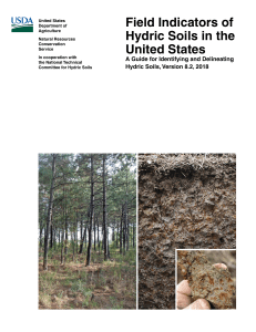 Field Indicators of Hydric Soils Guide