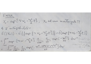 Stochastic Processes Lecture Notes: Martingales & Integrability