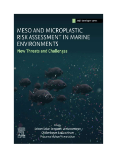 Meso & Microplastic Risk in Marine Environments