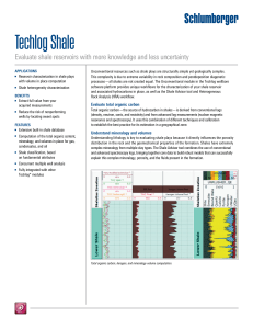 Techlog Shale: Reservoir Evaluation Software