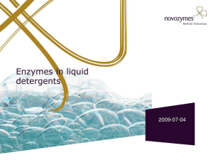 Enzymes in Liquid Detergents Presentation