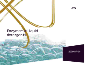 Enzyme Stability in Liquid Detergents