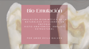 Bio-Emulación Dental: Análisis Histoanatómico