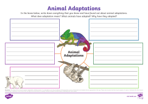 Animal Adaptations Worksheet