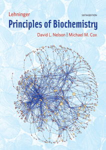 Lehninger Principles of Biochemistry Textbook