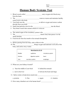 Human Body Systems Test