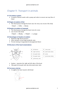 Transport in Animals: Circulatory System & Heart Structure