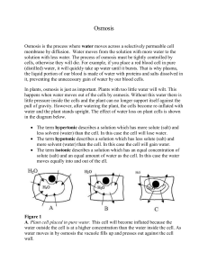 Osmosis Lab Report: Potato Core Experiment