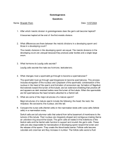 Gametogenesis Worksheet: Meiosis, Sperm, Ovum Development