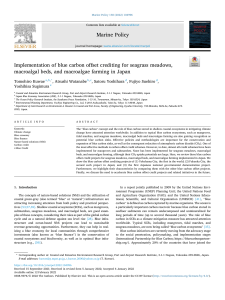 Blue Carbon Offset in Japan: Seagrass, Macroalgae