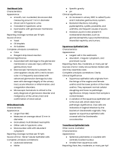 Urinalysis Reference Guide