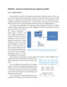 Catalytic Reactions & Dialysis Lab Assignment - ENGR101