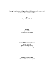 Biomass Energy Densification: Hydrothermal Carbonization & Torrefaction