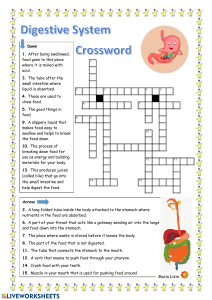 Digestive System Crossword Puzzle Worksheet