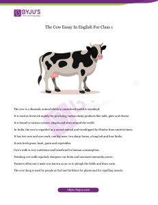 Cow Essay for Class 1: Learn About Cows