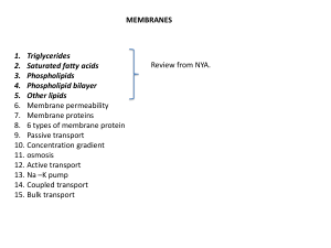 Cell Membrane Structure & Function: A Biology Overview