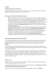 Metabolismo del Glucosio: Glicolisi e Gluconeogenesi